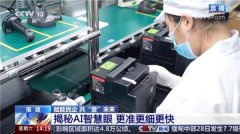 升电池的分歧性、不变性和平安性